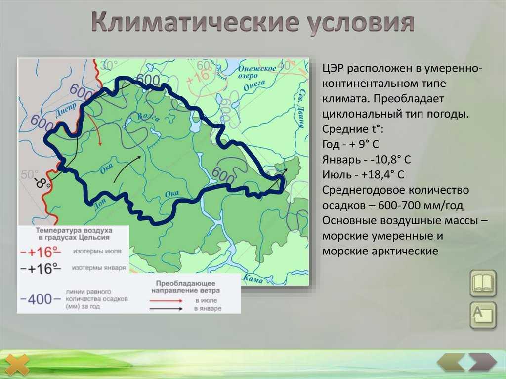 Эгп центрально черноземной