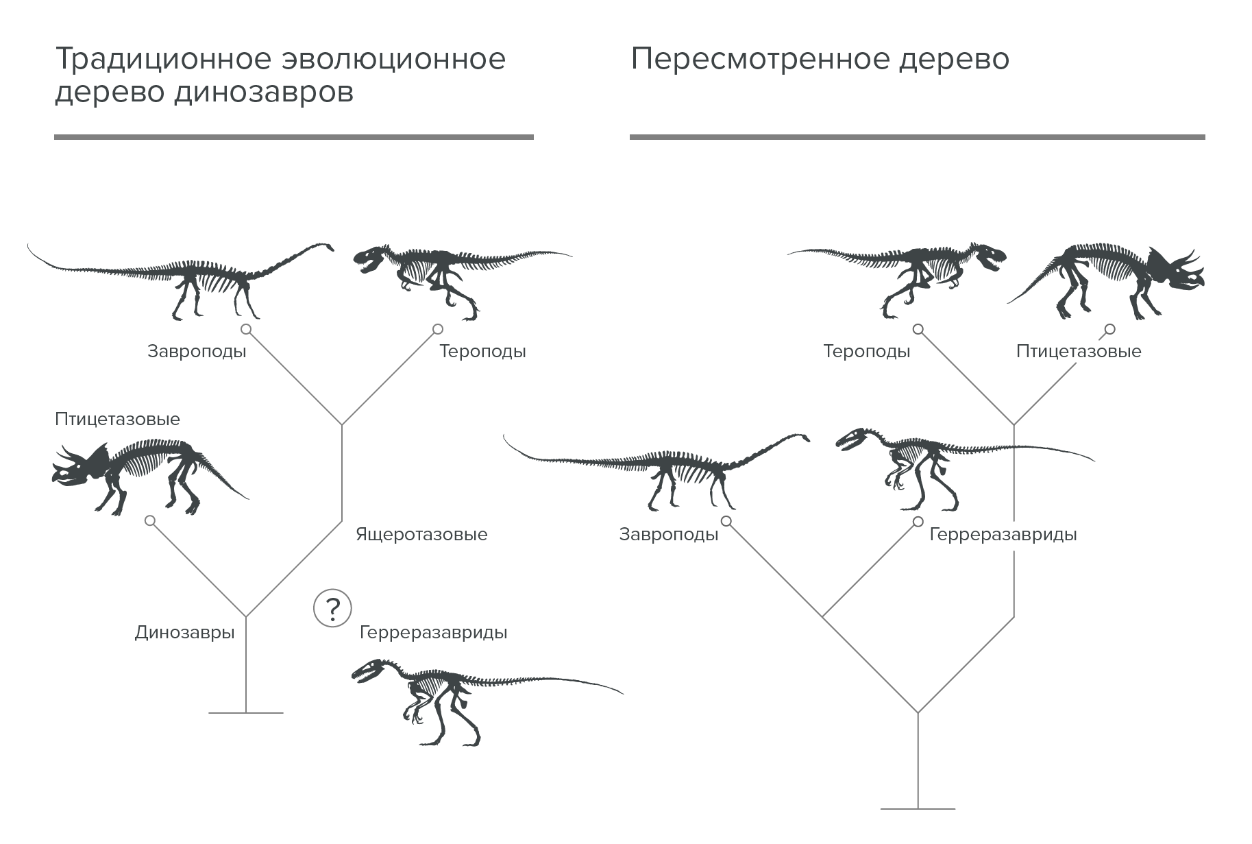 Отряды динозавров схема