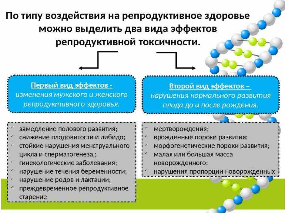 Презентация онтогенез репродуктивное здоровье человека