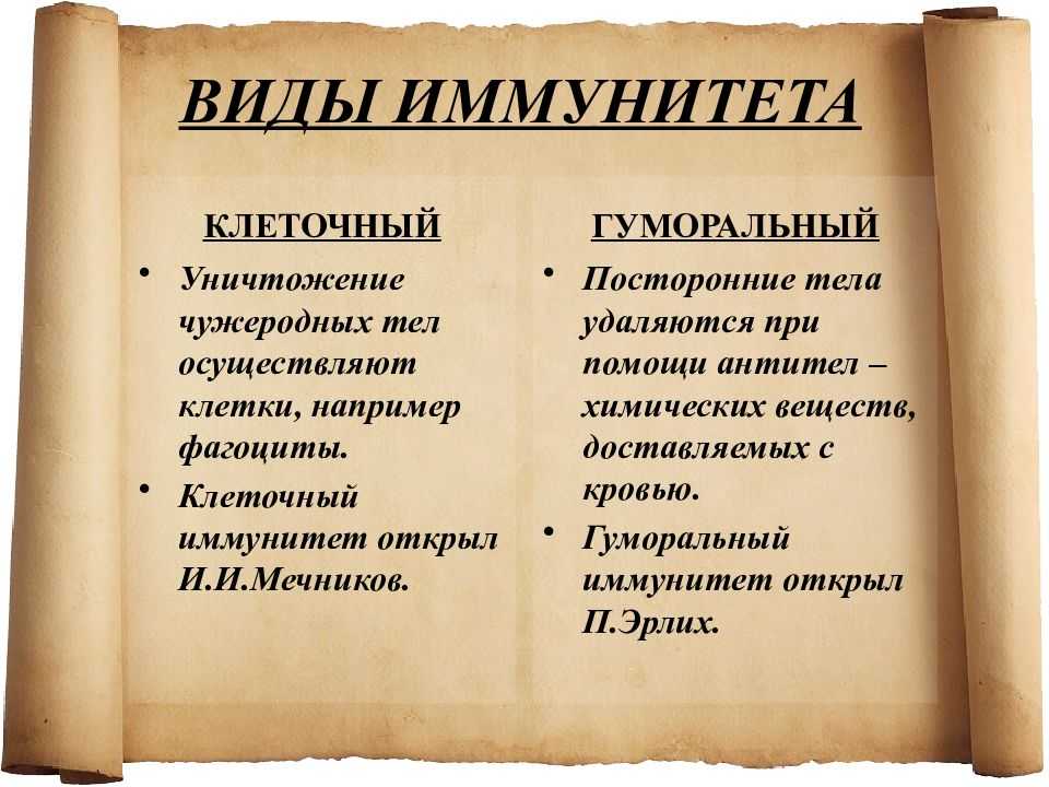 Клеточный иммунитет и гуморальный иммунитет презентация