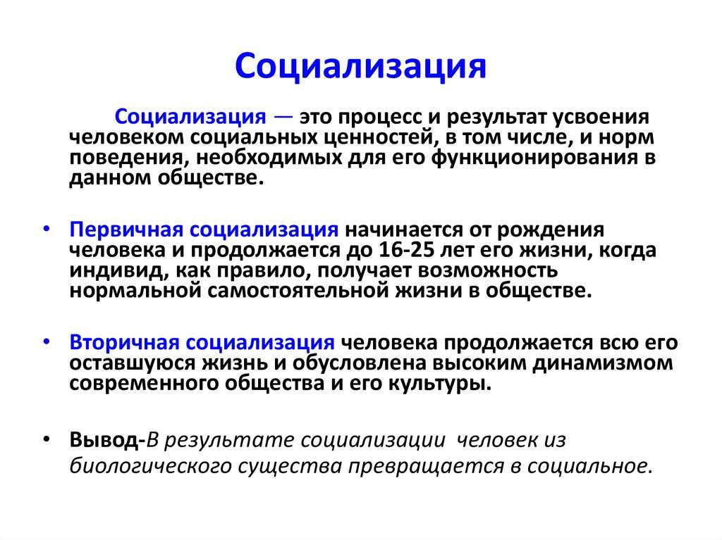 Проект социализация личности