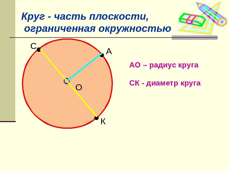 Изобразить окружность центр радиус диаметр хорда. Математика 3 класс окружность круг радиус диаметр. Круг геометрия радиус диаметр. Окружность радиус хорда диаметр круг. Что такое окружность круг диаметр и радиус 5 класс.