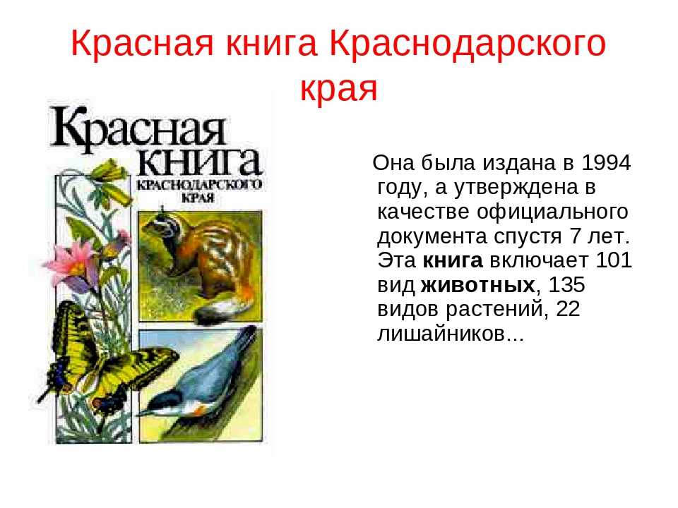 Растение и животные 2 класс. Проект животные занесенные в красную книгу Краснодарского. Книгу Краснодарского края животные красная книга. Красная книга Краснодарского края книга. 3 Животных Краснодарского края занесенные в красную книгу.