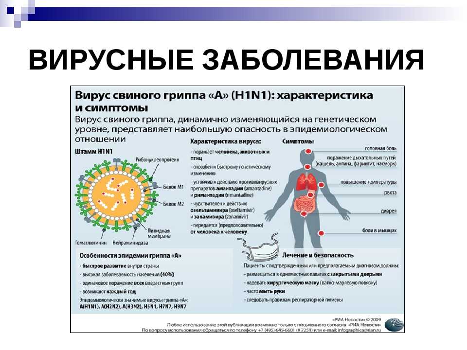 Как запихнуть вирус в картинку