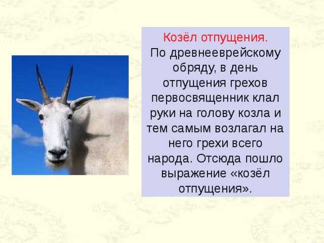 Козел отпущения фото