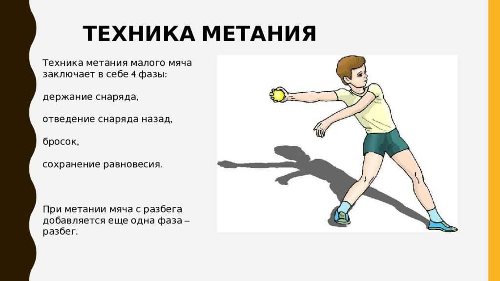 Метания мяча физкультура