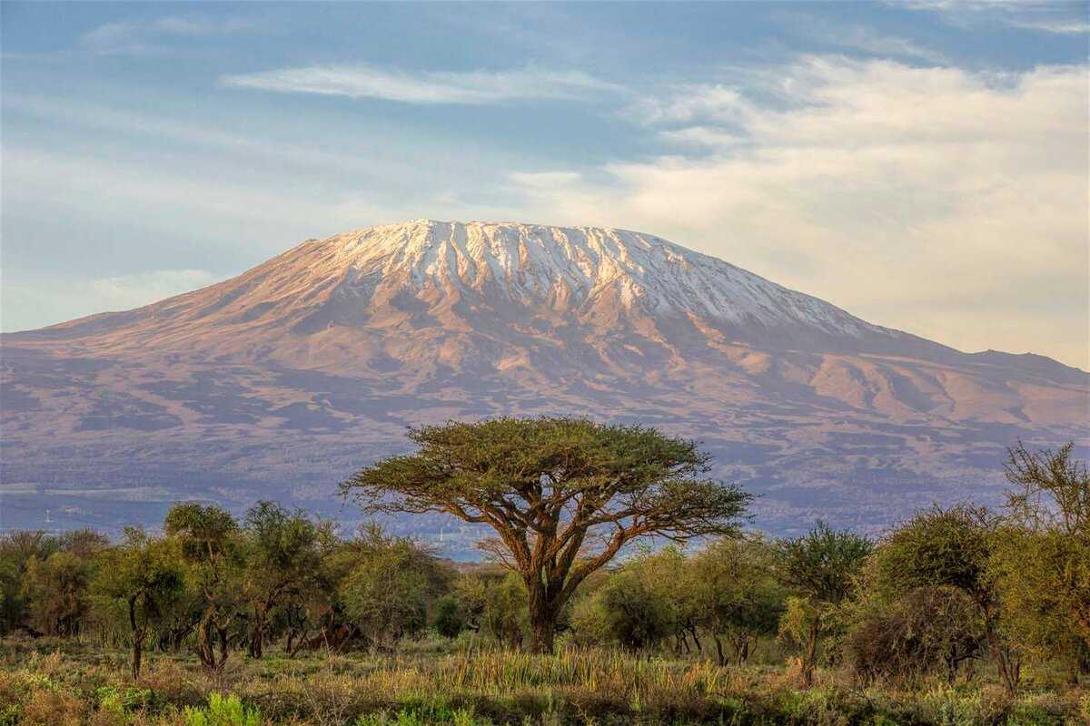 Donde esta el kilimanjaro