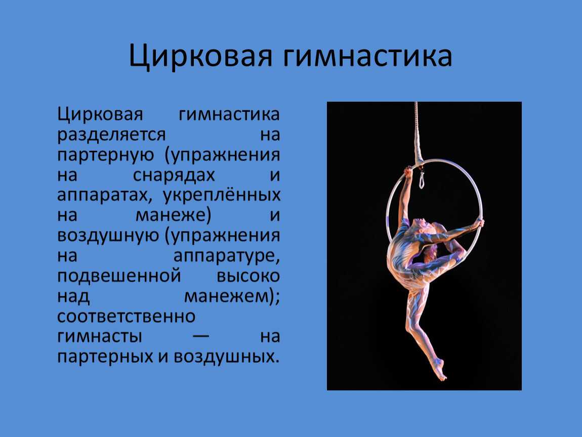6 гимнасток словами. Что такое гимнастика кратко. Доклад на тему цирковая гимнастика. Гимнастика доклад по физкультуре. Презентация на тему гимнастика.