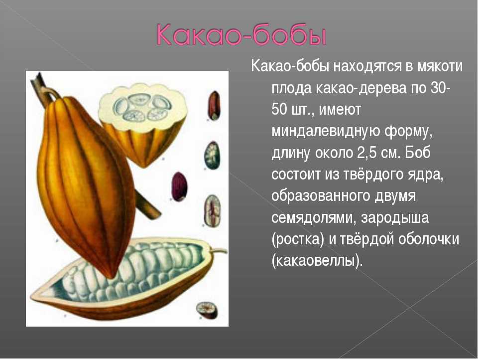 Презентация по какао