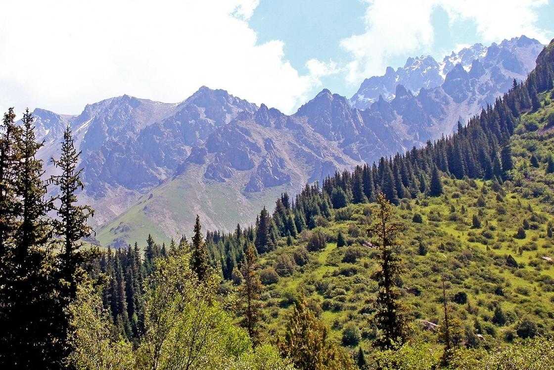 Природные запасы казахстана