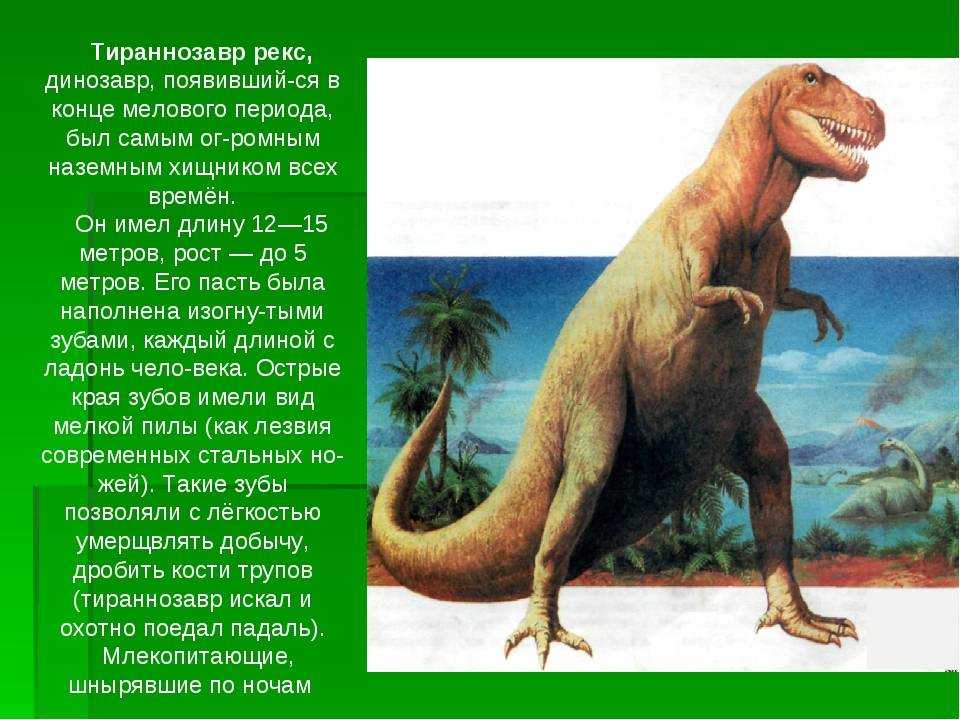 Опиши динозавра. Информация о динозавре Тираннозавр. Тирранозавр описание для детей. Тирранозавр рекс мини рассказ. Доклад о динозавре Тираннозавр.