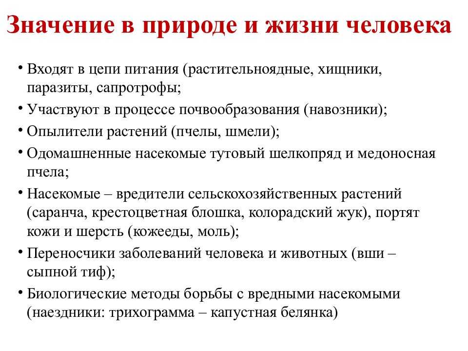 Презентация на тему роль животных в природе и жизни человека 7 класс