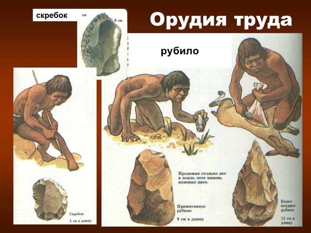 Урок 3: древнейшие люди - 100urokov.ru