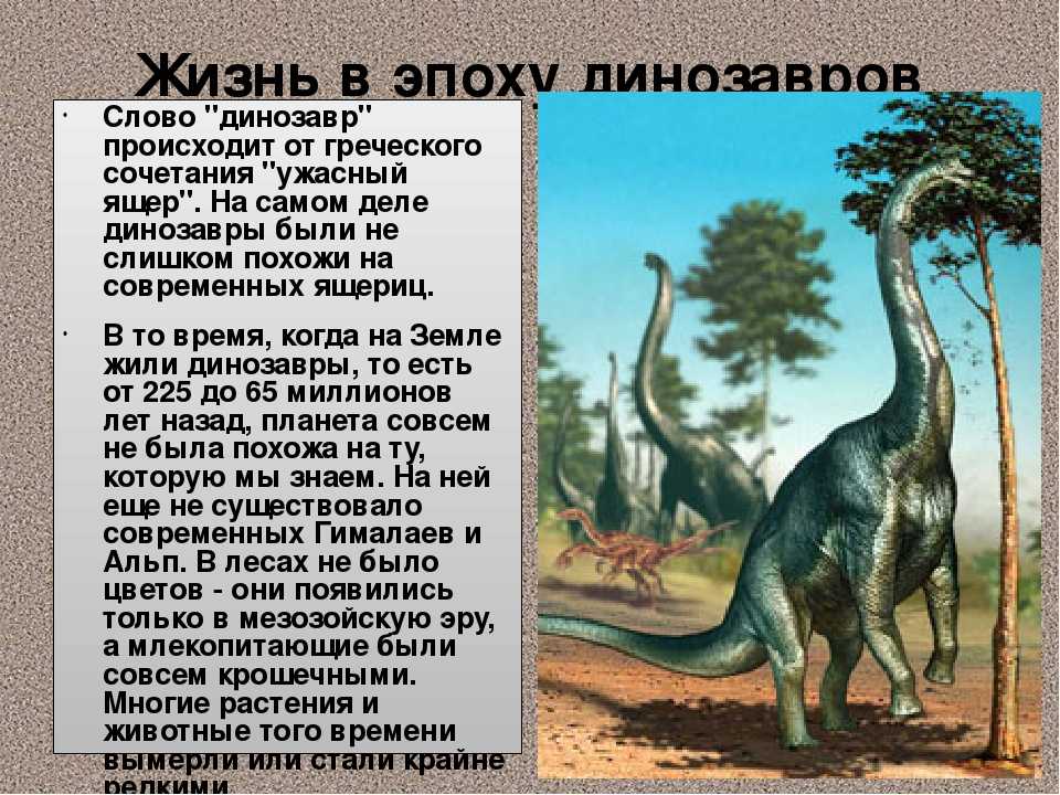 Появление динозавров эра. Истории о динозаврах. Самые первые динозавры на земле. Какие были динозавры. Динозавры жили на земле.