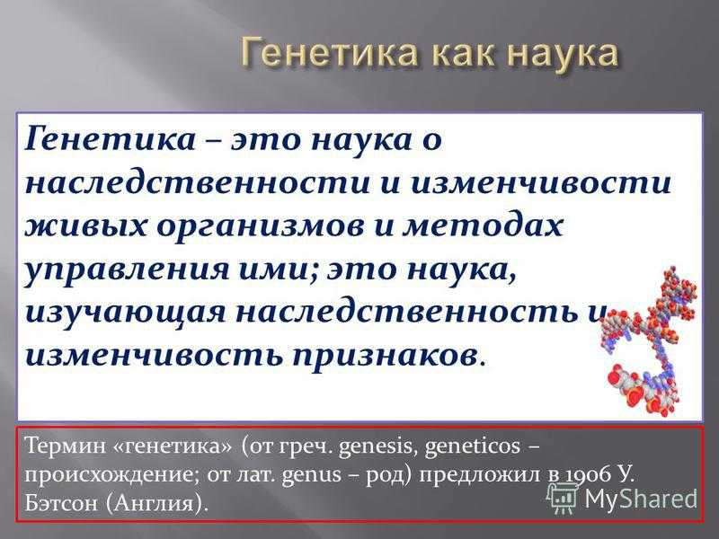 Генетика как отрасль биологической науки 9 класс презентация