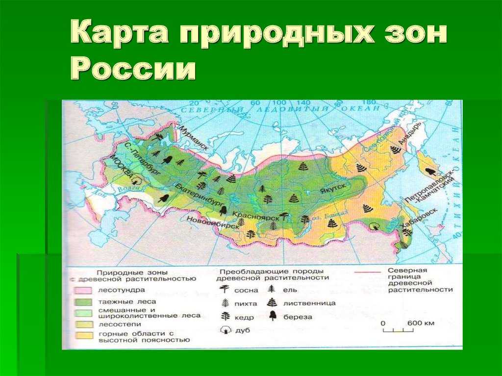 Карта природные зоны россии в хорошем качестве