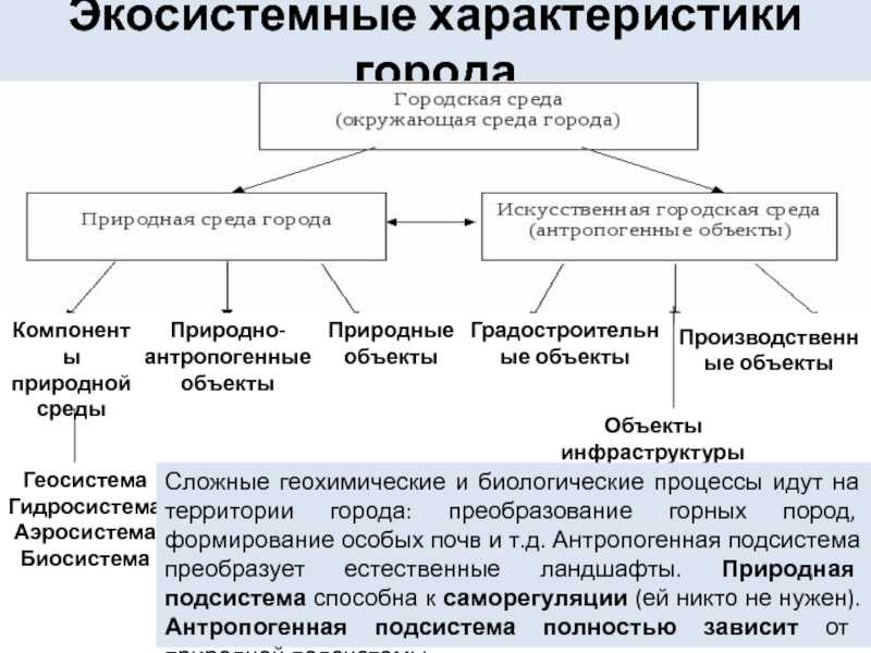 Среда природно антропогенных объектов