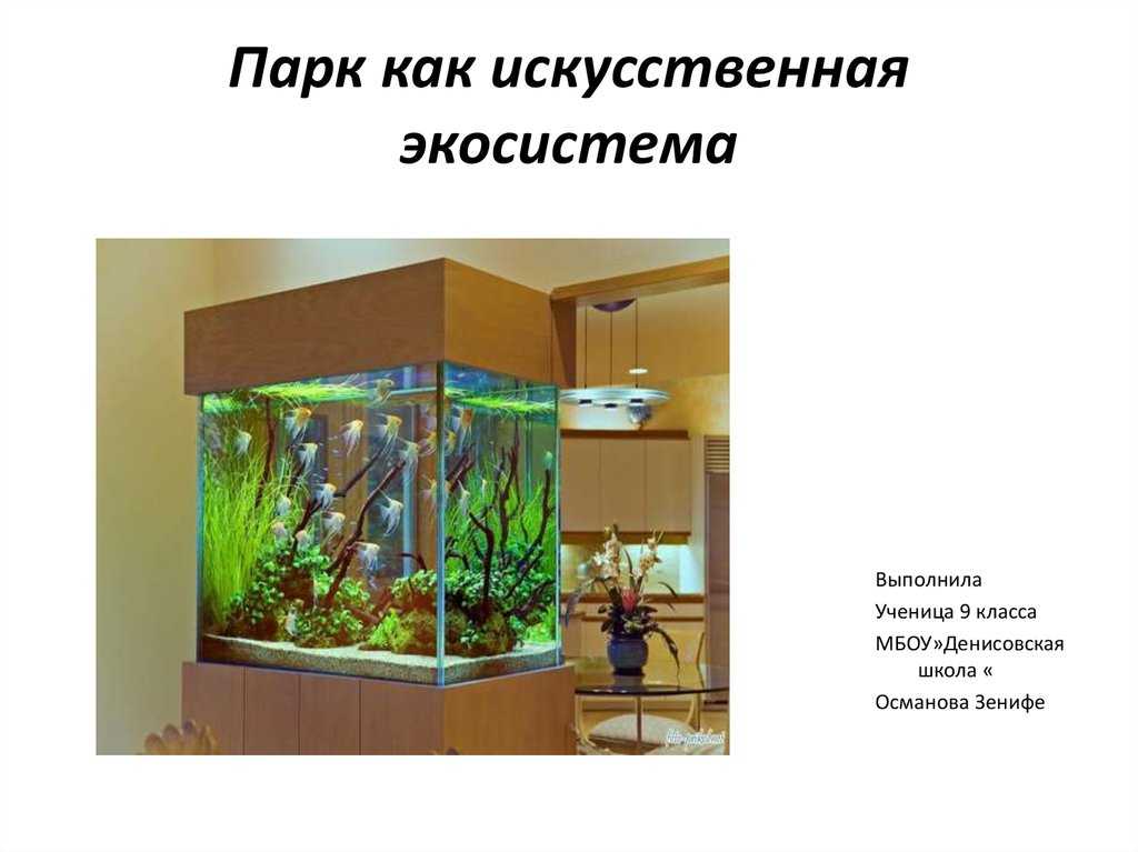 Практическая работа 2 аквариум как модель экосистемы