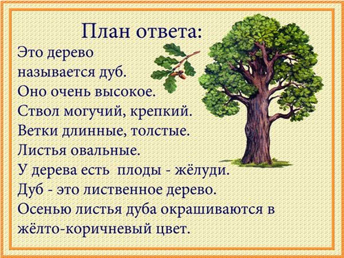 Дерево придумать слова. Дуб описание для детей. Рассказ о дереве. Рассказ про дерево для детей. Рассказ о дубе.