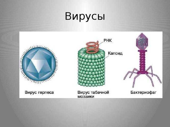 Как запихнуть вирус в картинку