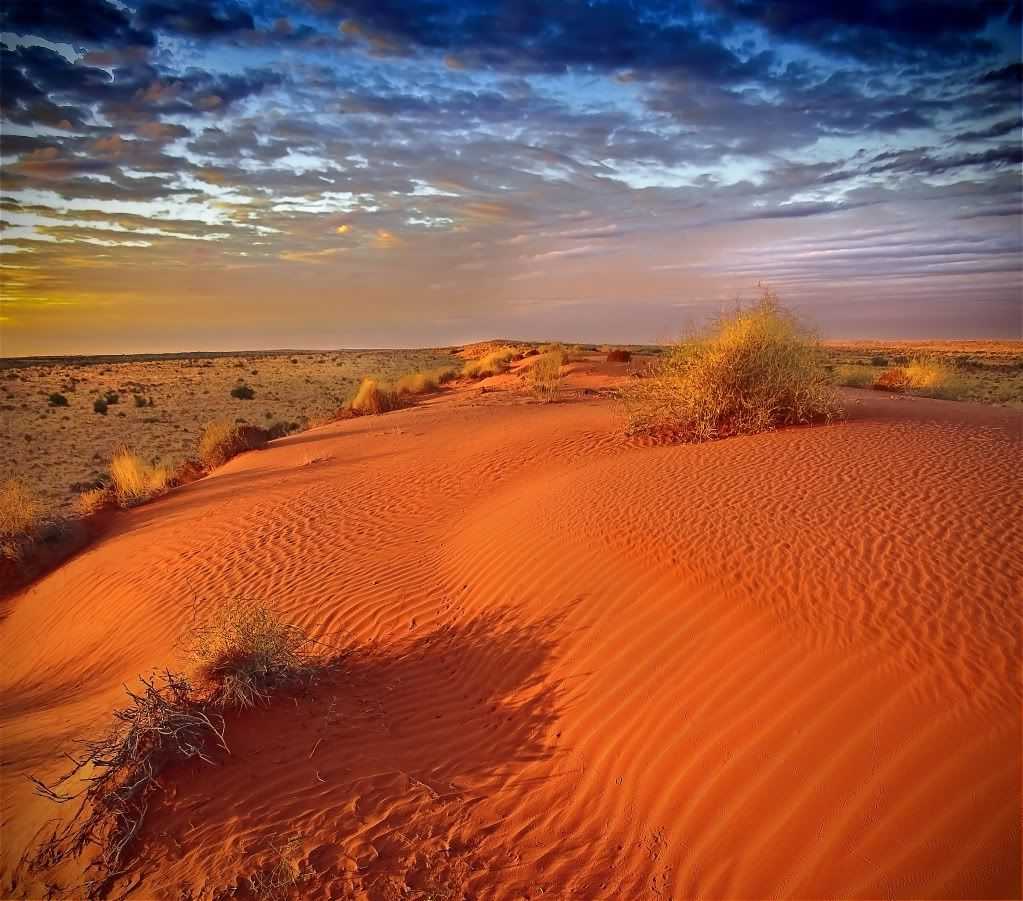 Пустыни и полупустыни австралии