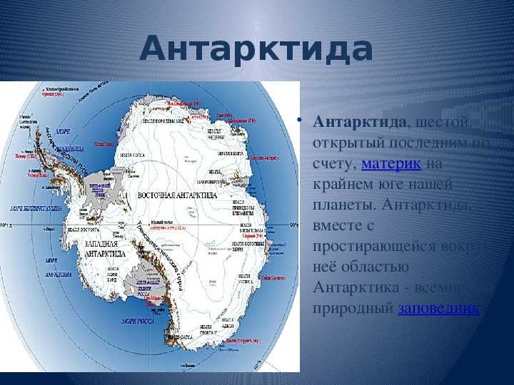 Интересные факты об антарктиде с картинками