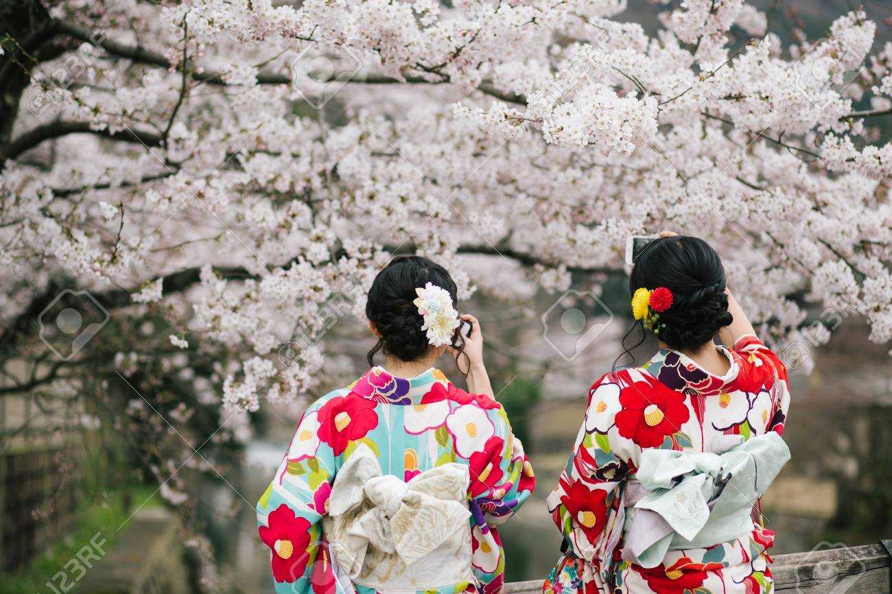 День цветущей сакуры. Фестиваль цветения и любования сакурой – Япония. Ханами – любование сакурой в Японии. Праздник цветения Сакуры в Японии. Праздник любования сакурой в Японии.
