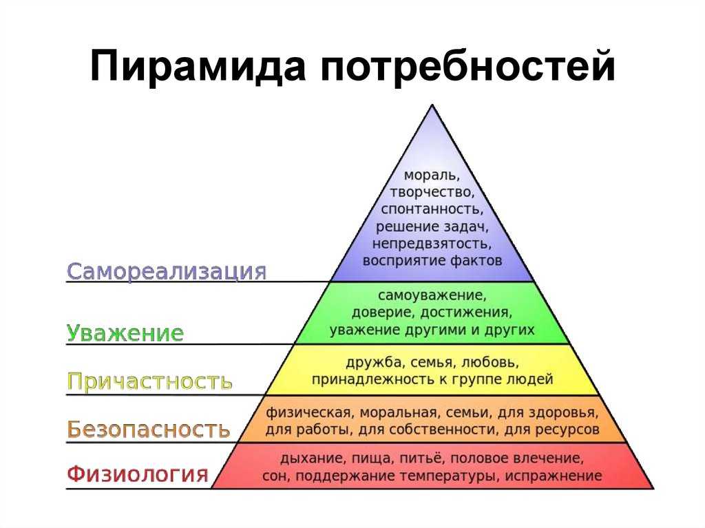 Проект на тему эволюция человеческих потребностей