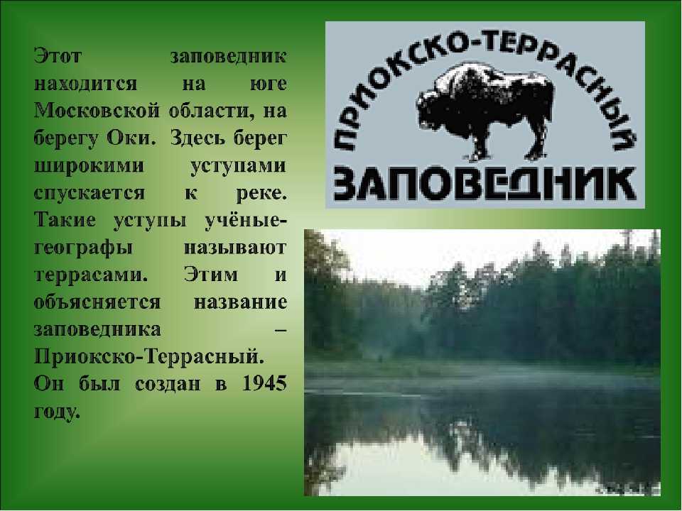 Фамилия заповедник. Заповедники и национальные парки Московской области. Национальные заповедники Московской области. Проект заповедники Подмосковья. Московский заповедник презентация.