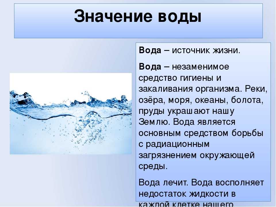 Проект вода в жизни человека 5 класс