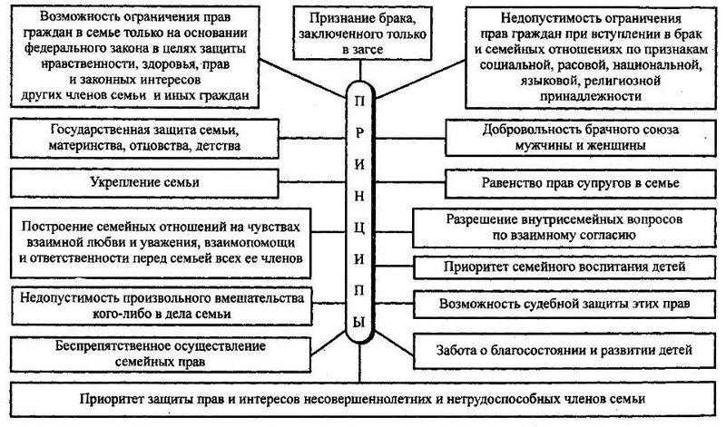 Заполните пропуски в схеме семейные правоотношения приведите несколько примеров семейных отношений