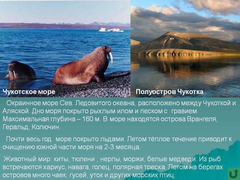 Проблемы чукотского моря