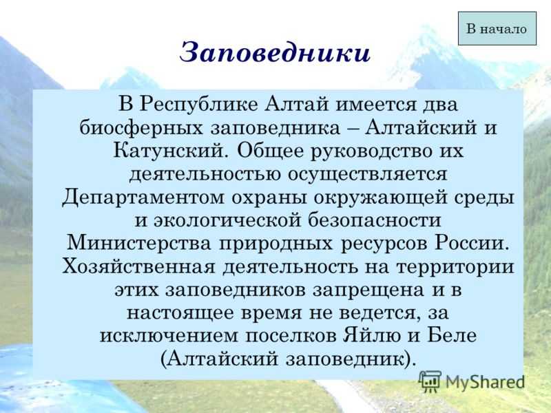 Проект про алтайский заповедник