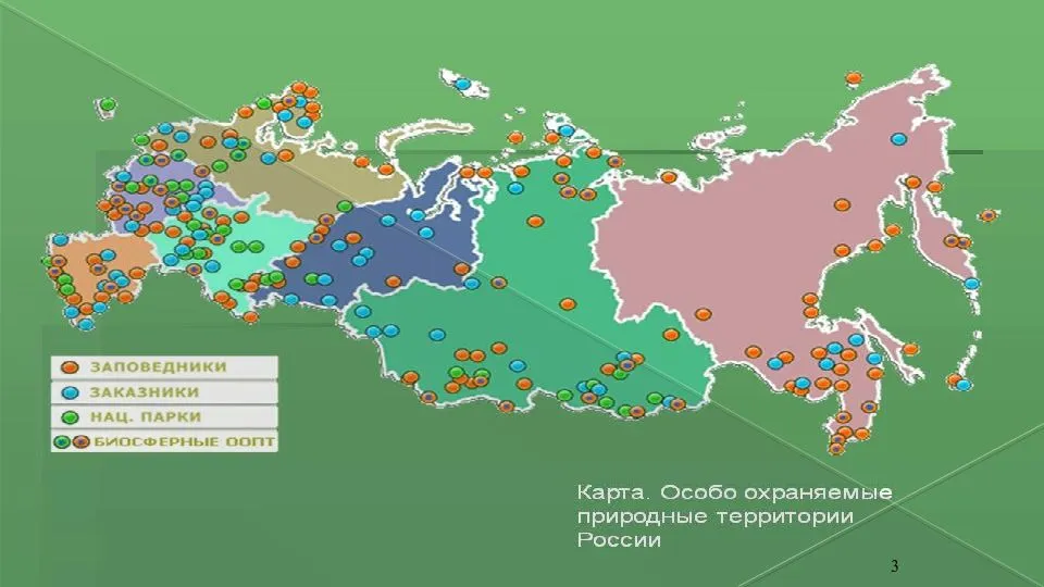 Заповедники россии план