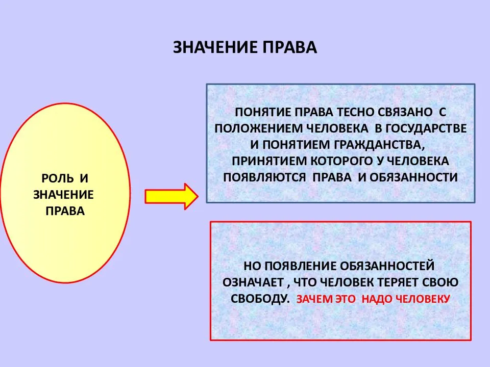 Роль права в жизни человека общества и государства презентация 9 класс боголюбов